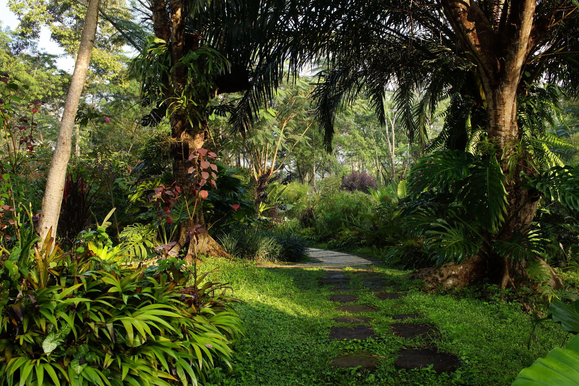 Mesastila Resort And Spa Маґеланґ Екстер'єр фото